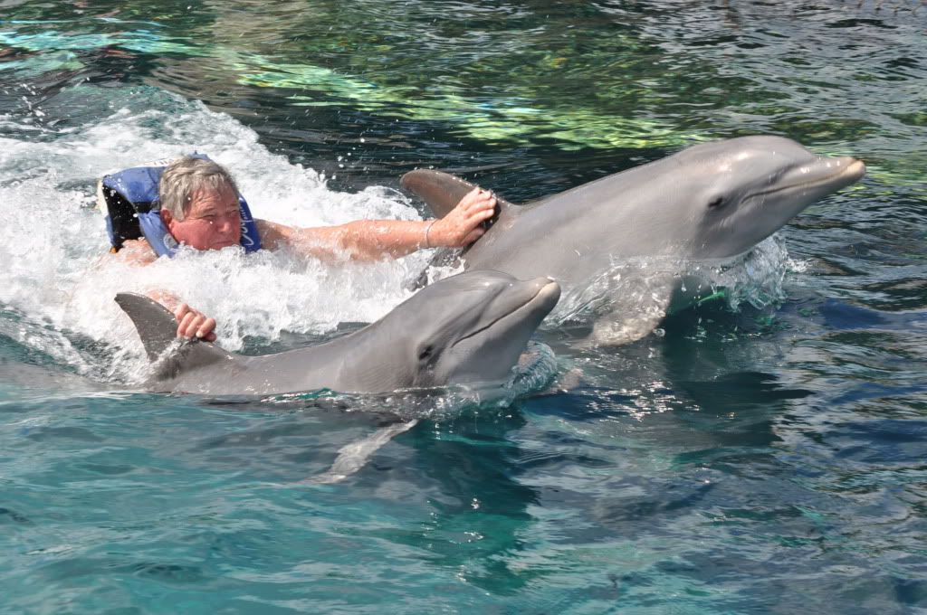 Dolphins031.jpg