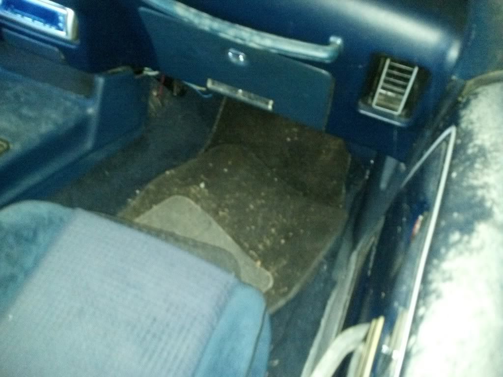 2011-12-10_13-49-52_347.jpg