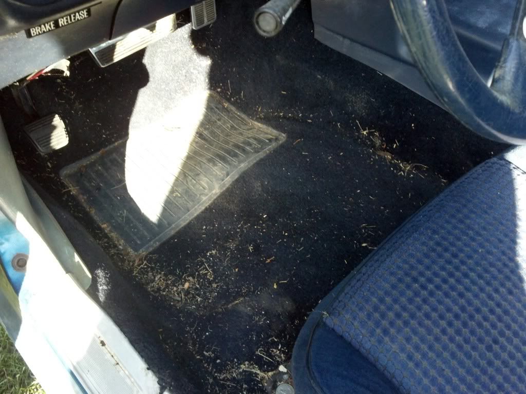 2011-12-18_12-19-35_207.jpg