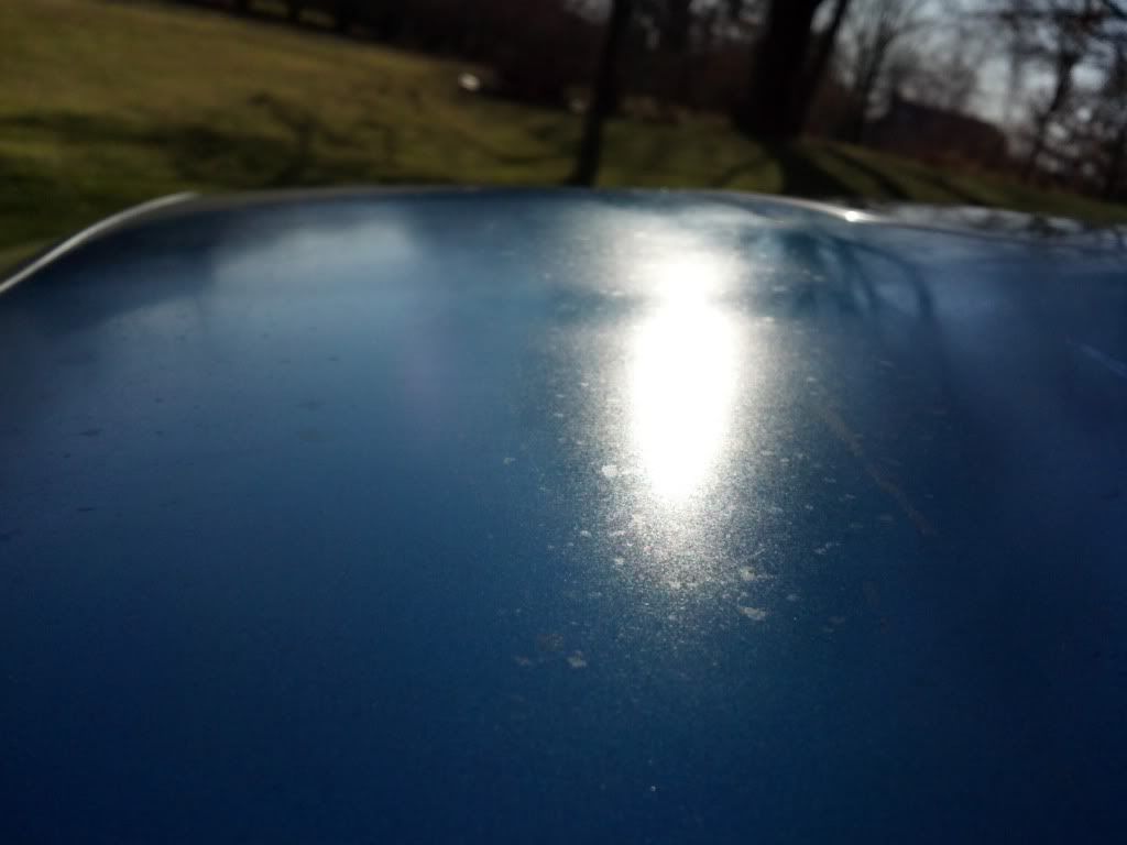 2011-12-18_13-29-57_596.jpg