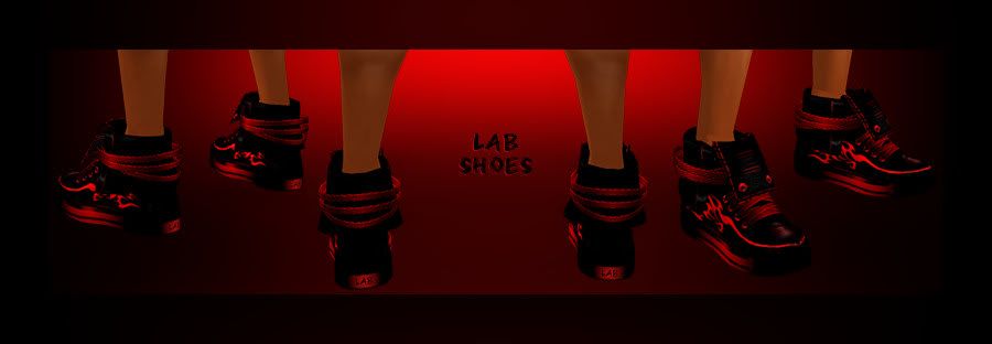 Custom shoes for Lab
