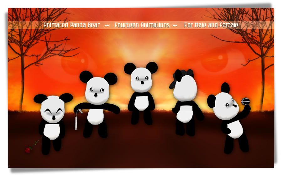 Animated Panda for Males or Females
