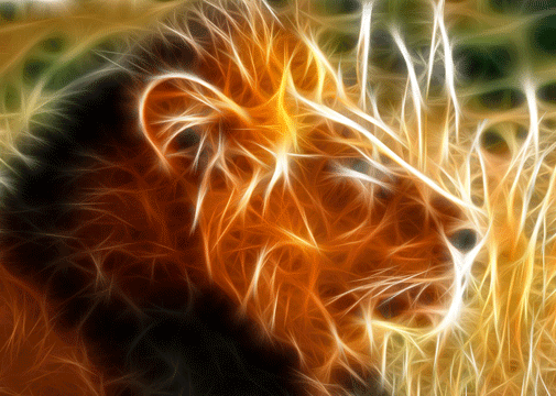 wallpaper lion. fractal-animal-wallpaper-lion.