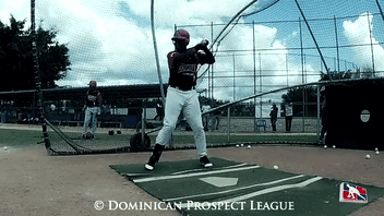 photo Diaz-Lewin-Side-Front-Leg-Lift.gif