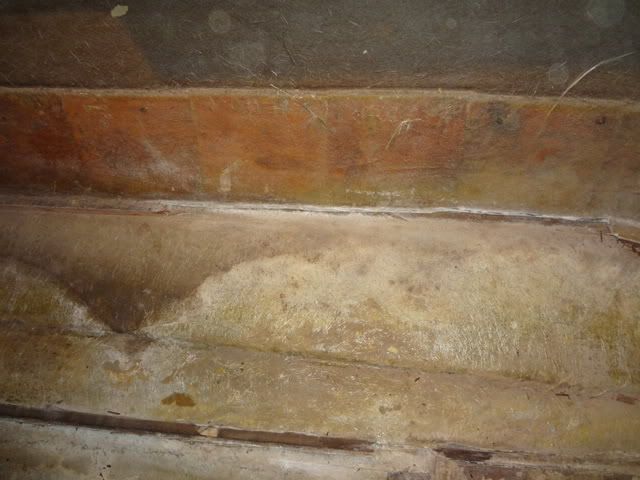 DSC00656.jpg