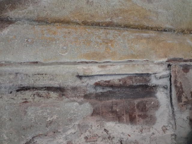 DSC00674.jpg