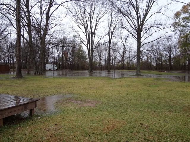 DSC00677.jpg