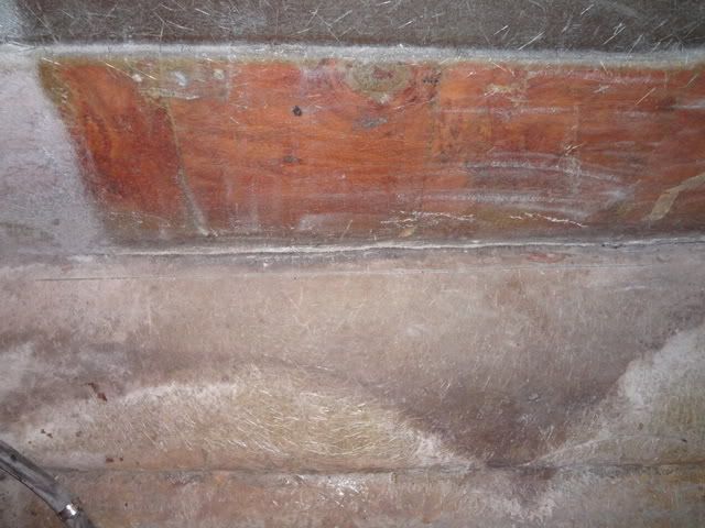 DSC00681.jpg