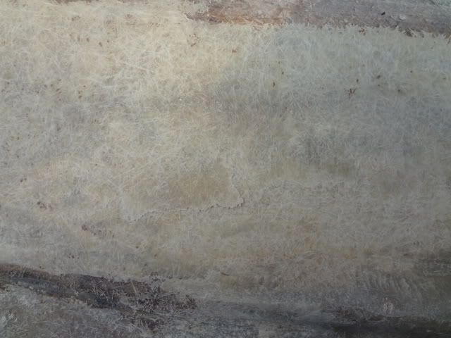 DSC00816.jpg