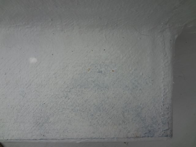DSC01278.jpg