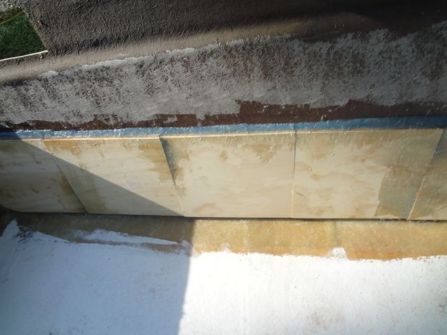 DSC01297.jpg