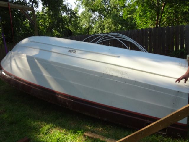 DSC01313.jpg