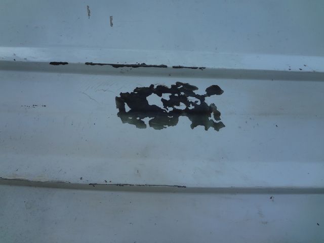 DSC01315.jpg