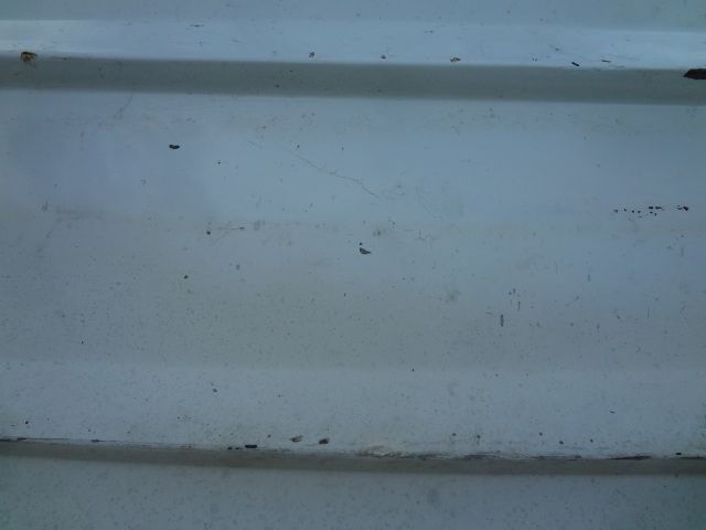 DSC01316.jpg