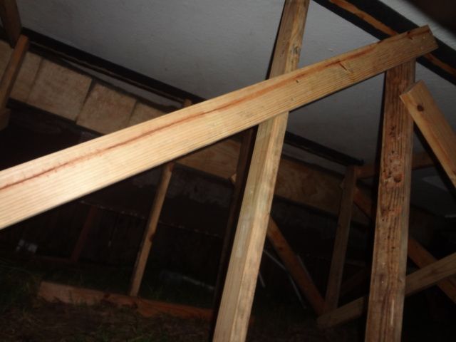 DSC01325.jpg