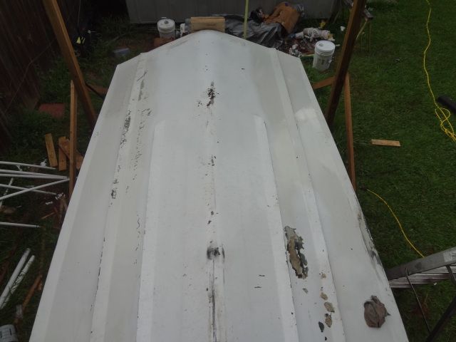 DSC01328.jpg