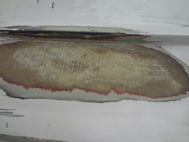 DSC01330.jpg