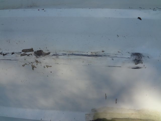 DSC01350.jpg