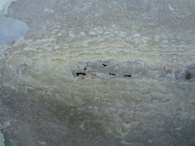 DSC01353.jpg