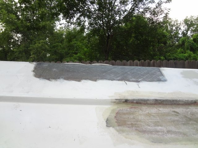 DSC01356.jpg