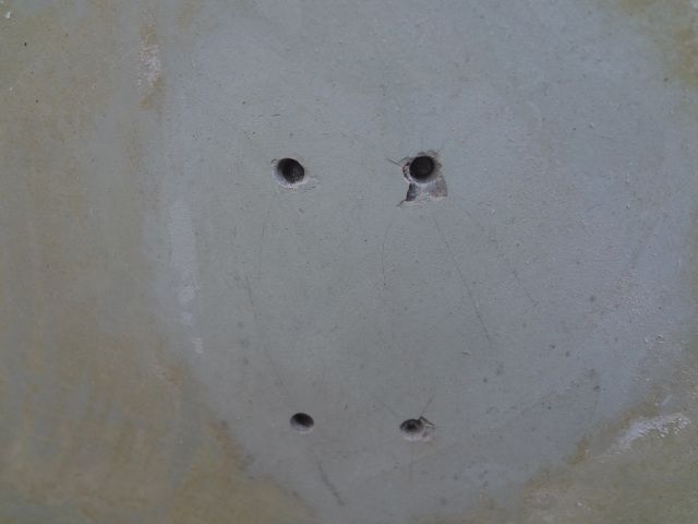 DSC01371.jpg