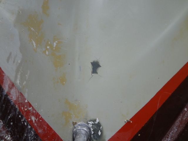 DSC01382.jpg