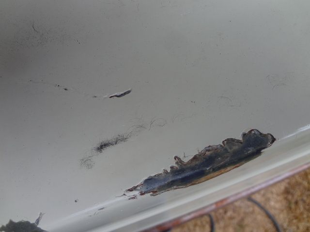 DSC01383.jpg