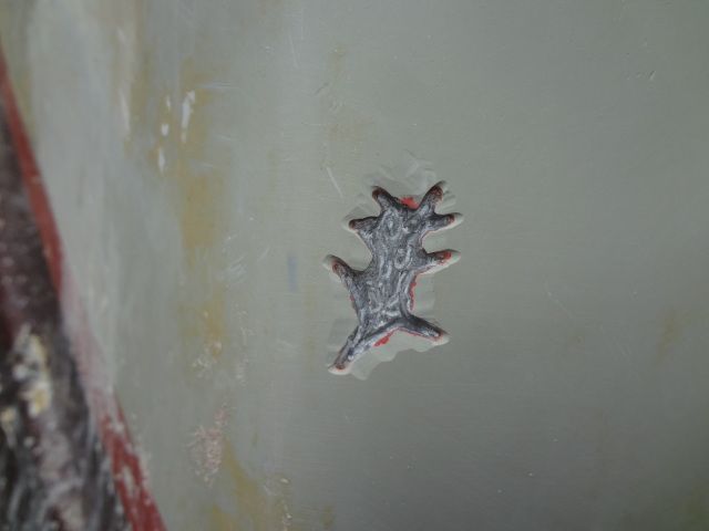DSC01386.jpg