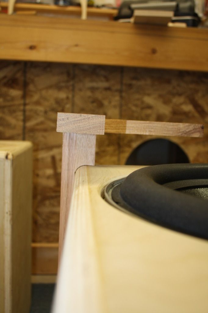 Legs_top_mockup2.jpg