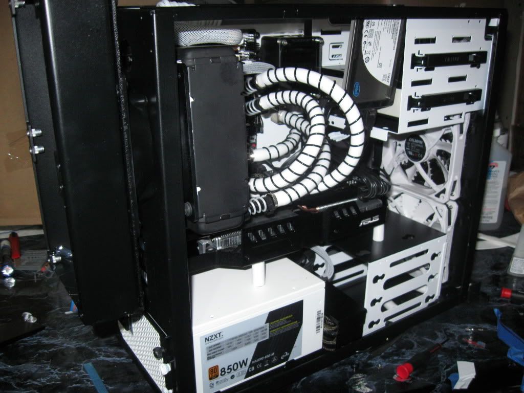 41311159.jpg