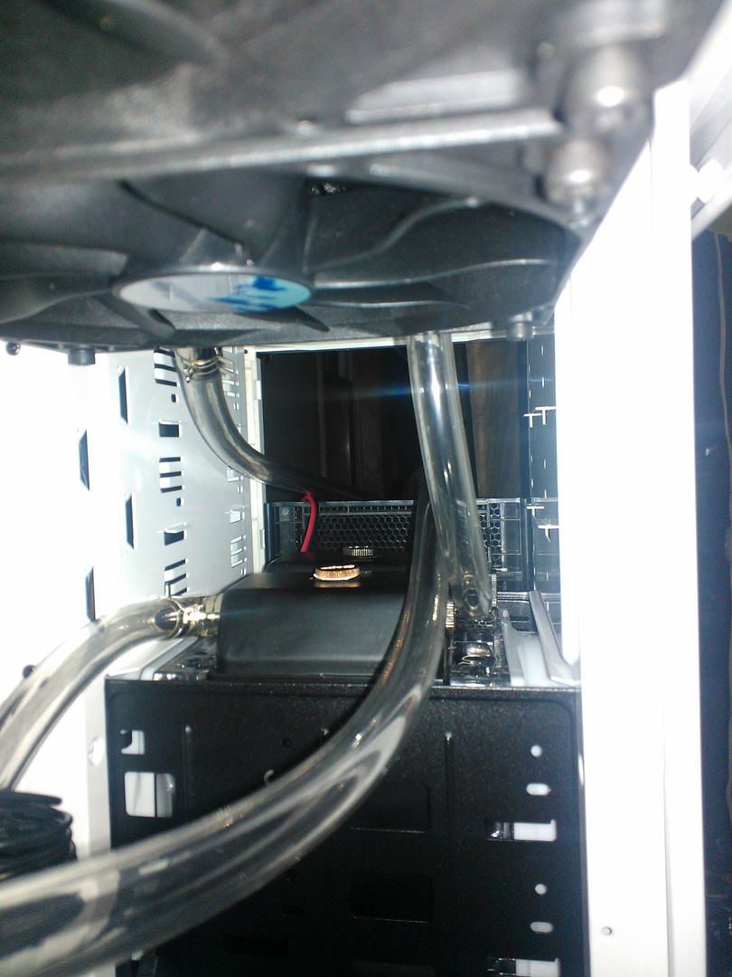 WP_000821.jpg