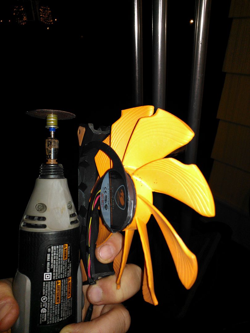 WP_000843.jpg