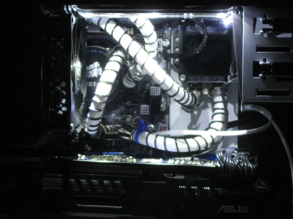 stark021.jpg