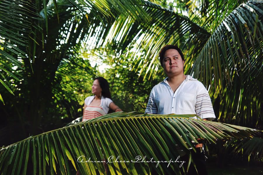 Hubert and Diane Prenup Shoot in Lumban Laguna, coconut leaves, green