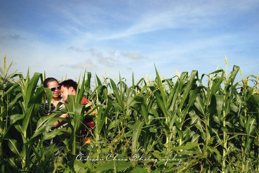 Hubert and Diane Prenup Shoot in Lumban Laguna, corn farm