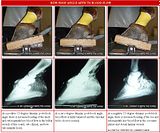How Hoof Angle Affects Blood Flow, Image from TheHorse.com article titled "The Quest to Conquer Laminitis" by Christy M. West, May 1, 2007