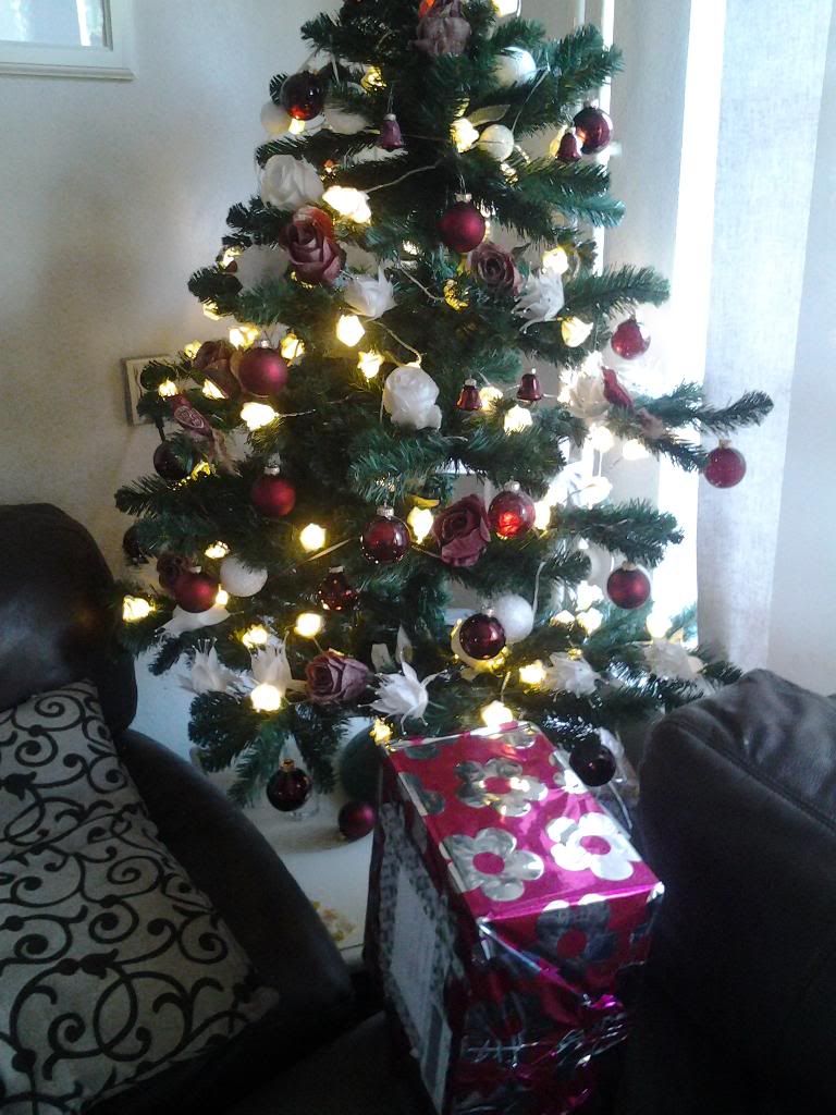 20131214_094750_zpstkrirkis.jpg