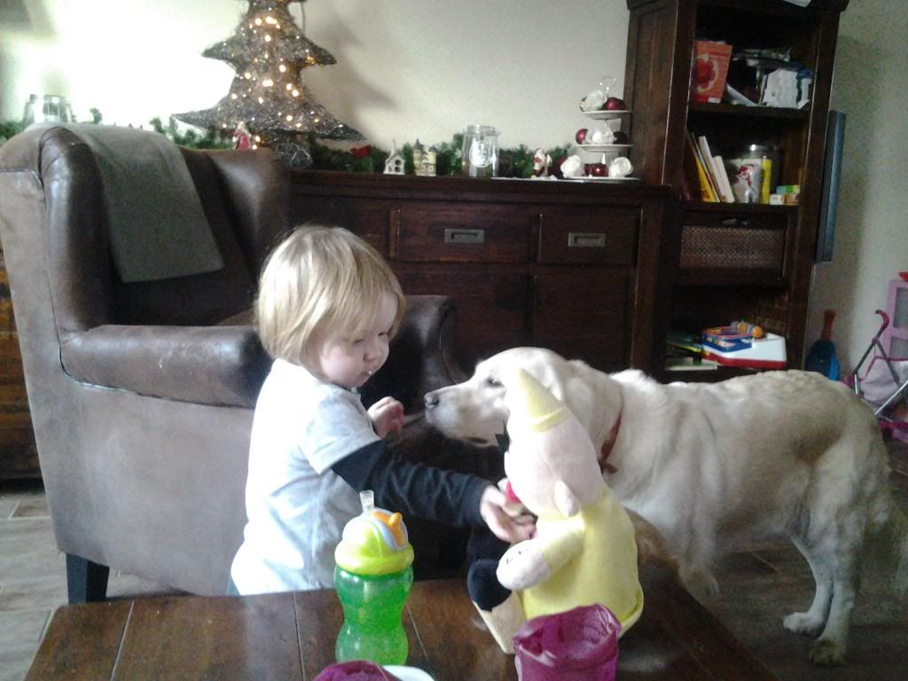 20131214_095844_zpsbiepv9pv.jpg