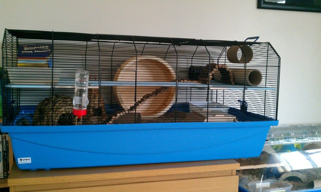 barney hamster cage