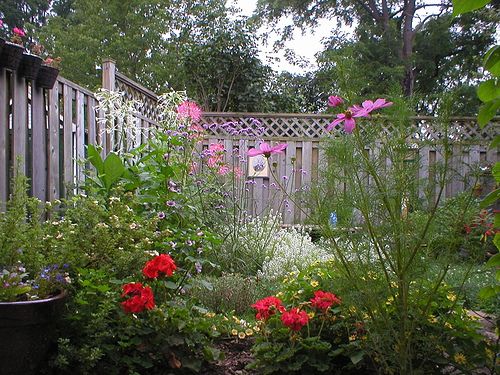 DIY Vegetable Garden Fence