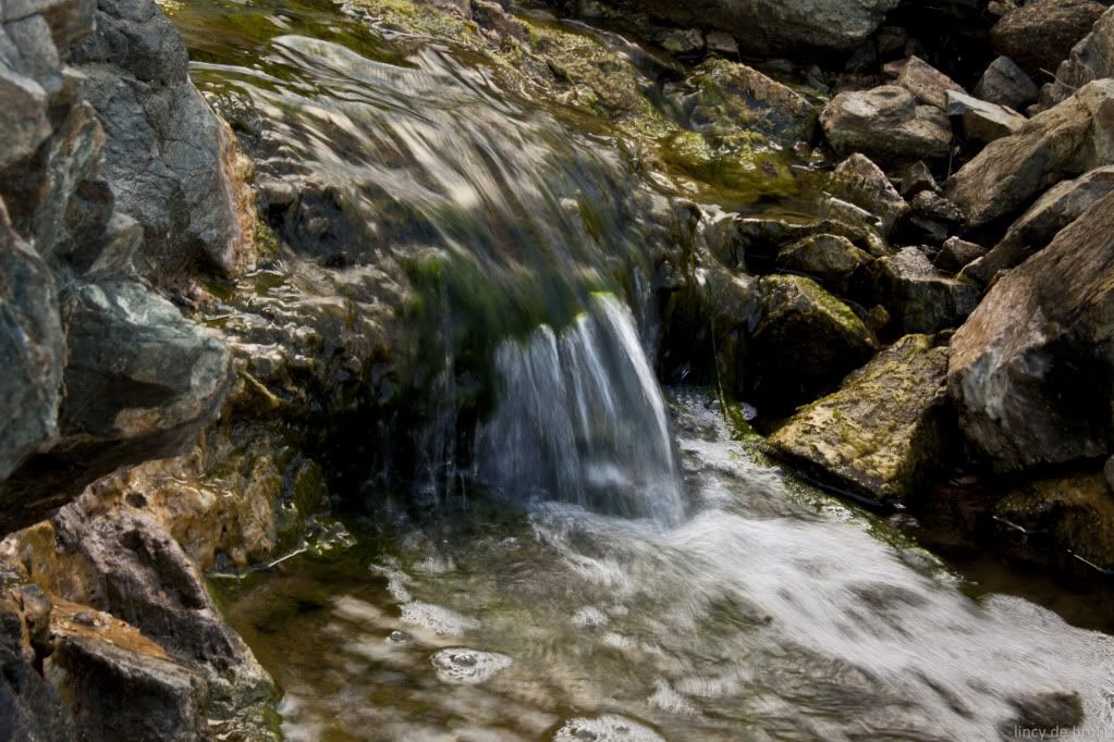 http://i1084.photobucket.com/albums/j420/lincydebruijn/Aruba/Paths%20Photo%20Hike%20Arikok/RooiTambu-2600.jpg