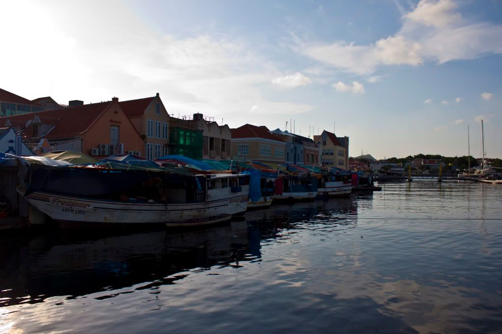 http://i1084.photobucket.com/albums/j420/lincydebruijn/Curacao/_MG_2019.jpg