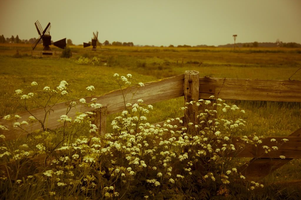 http://i1084.photobucket.com/albums/j420/lincydebruijn/Nederland%202011/_MG_3569.jpg