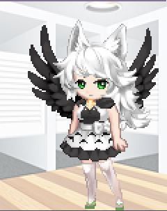 User Image