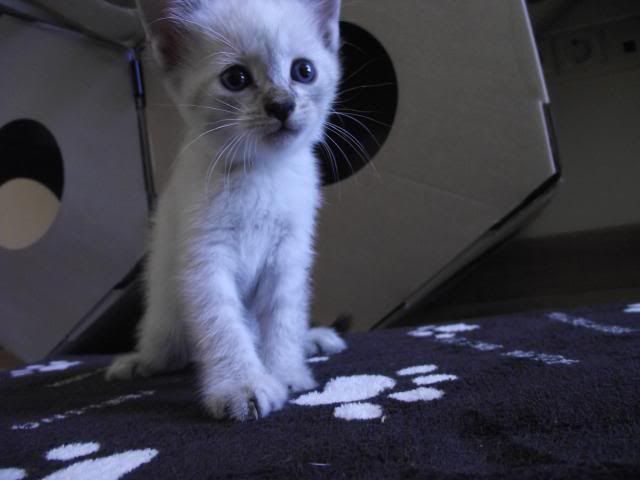 DSCF9222.jpg