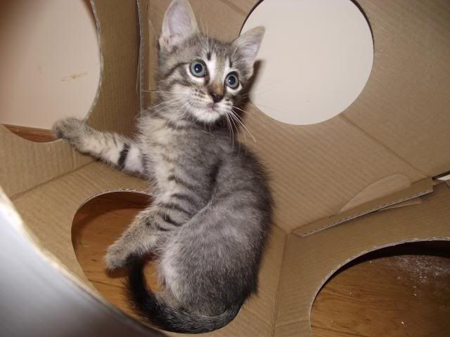 DSCF9264.jpg