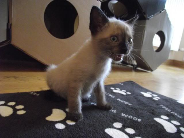 DSCF9273.jpg