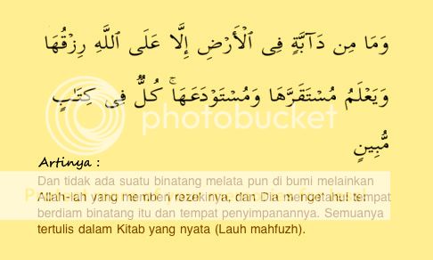 Hasil gambar untuk surat hud ayat 6